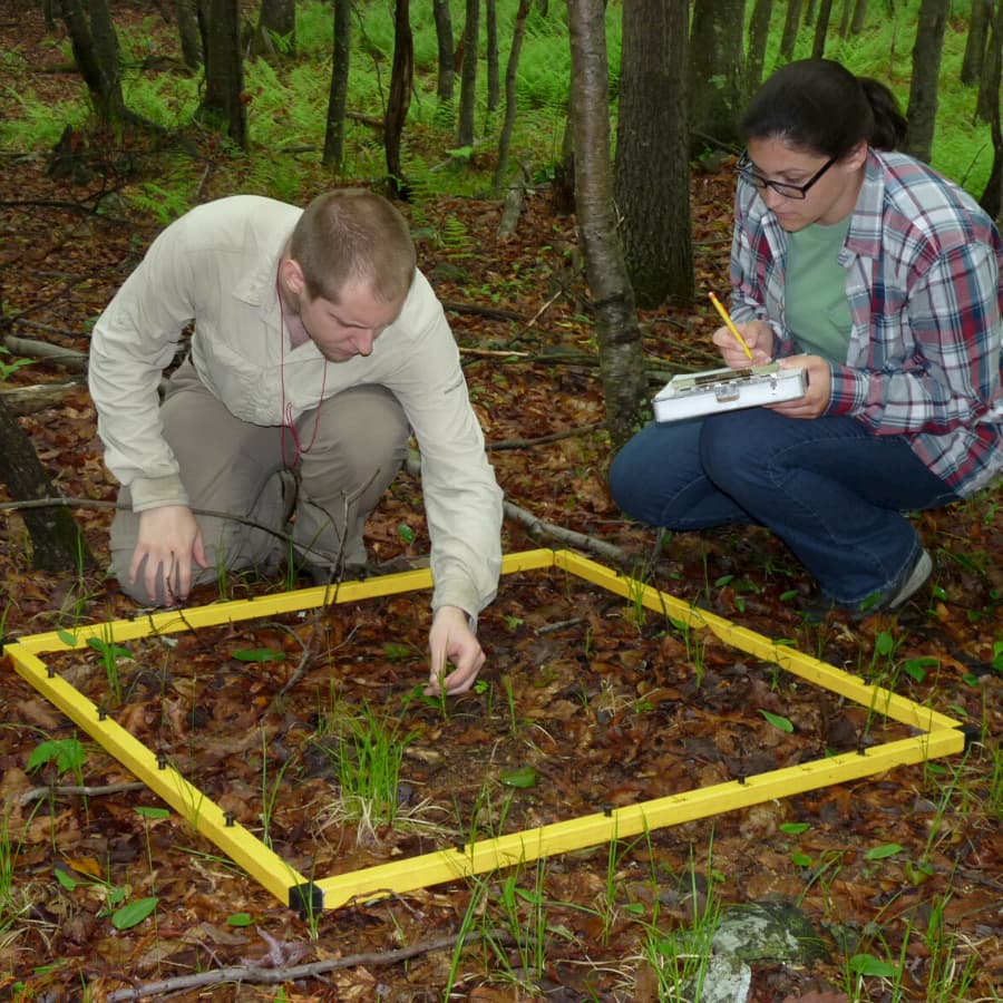 Ecology research