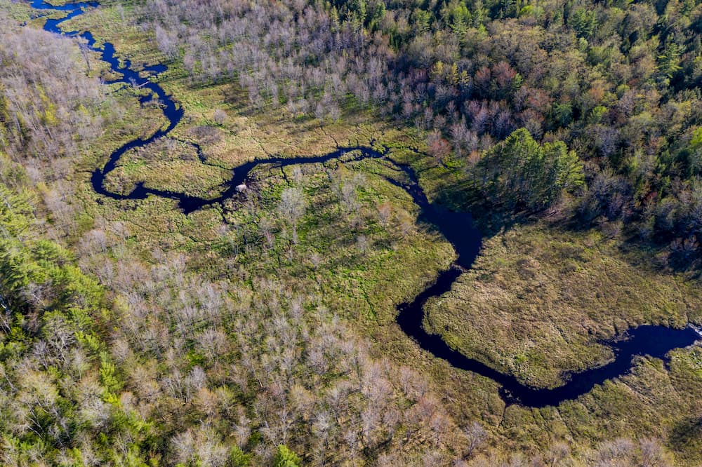 Mill Brook winds through Rowe's Meadow in Maine