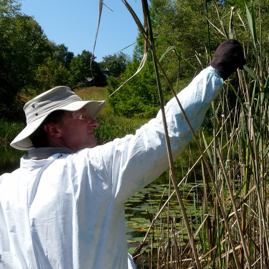 Invasive species management