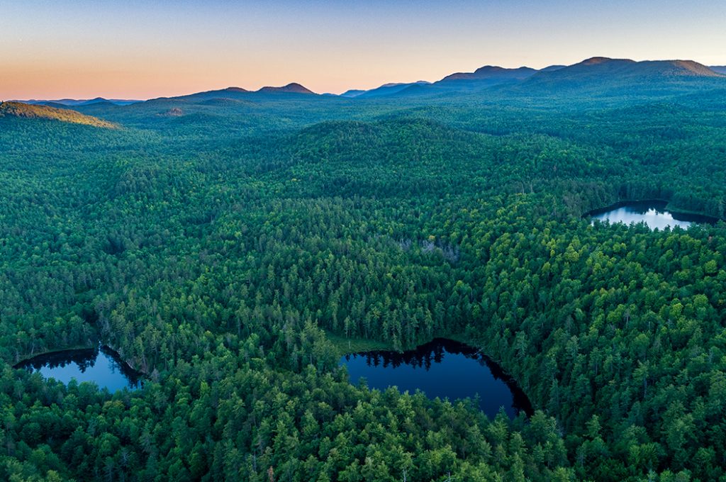 Eagle Mountain Wilderness Preserve in Chesterfield, NY