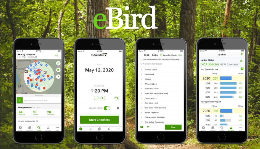 eBird