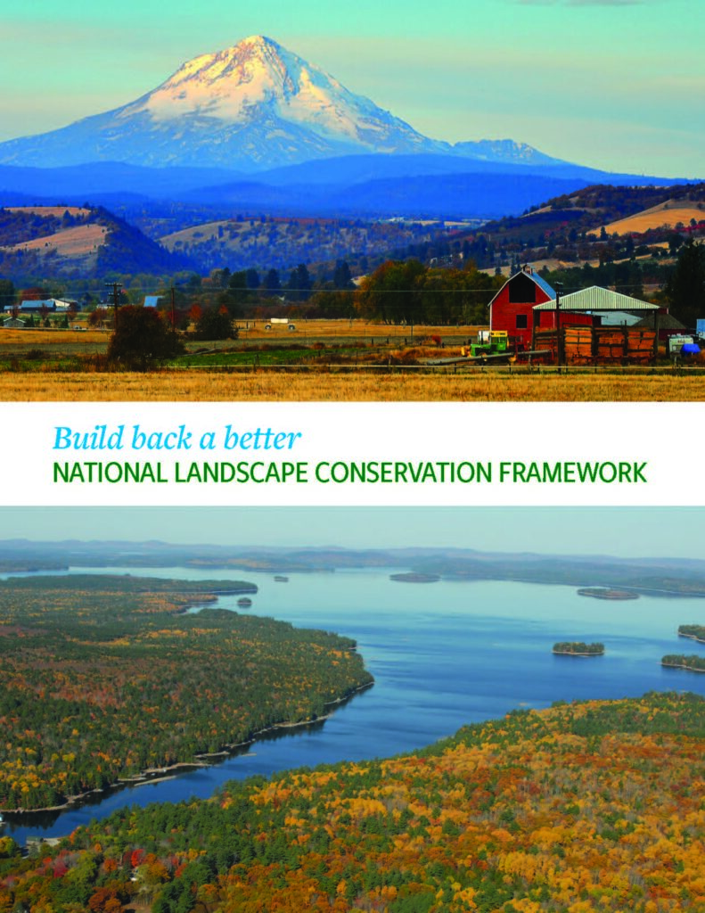 Build Back a Better National Landscape Conservation Framework. Back From the Forest? Read These Six Conservation Stories