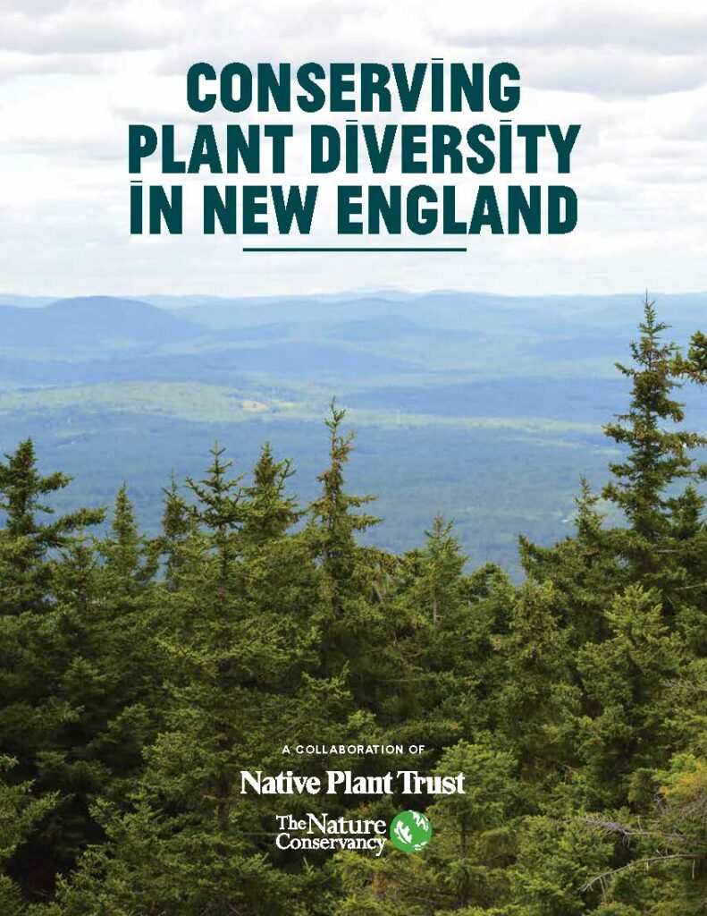 Conserving Plant Diversity in New England cover. Back From the Forest? Read These Six Conservation Stories