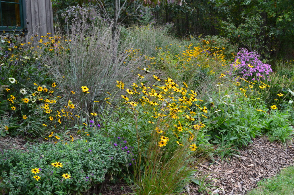 Native plants and flowers. A New Conservation Approach in Your Backyard