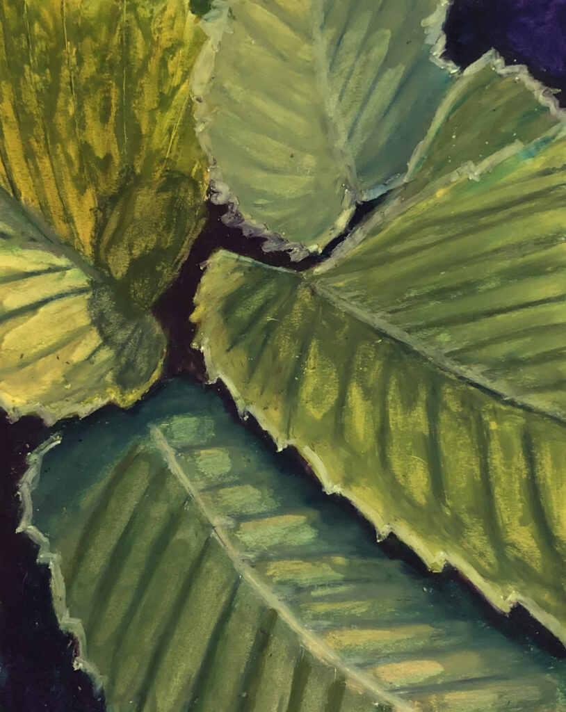 An oil pastel drawing of green and yellow leaves. People of Highstead. Bill Labich.