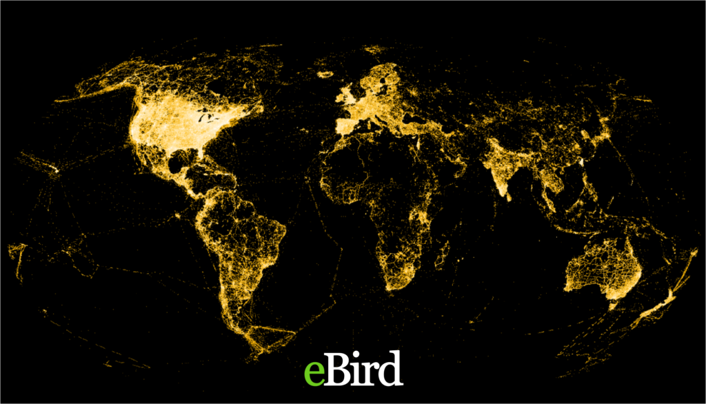 eBird map data visualization example. Great Backyard Bird Count