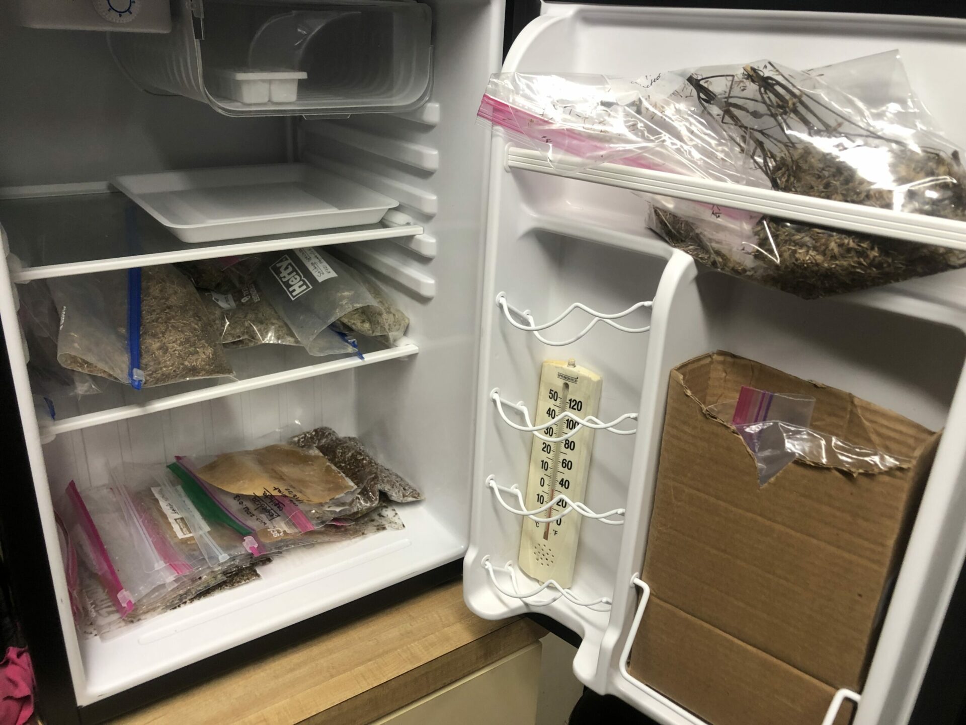 An open refrigerator door with plastic baggies filled with seeds stacked inside.